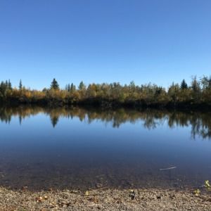 Meet your Posher, Kara